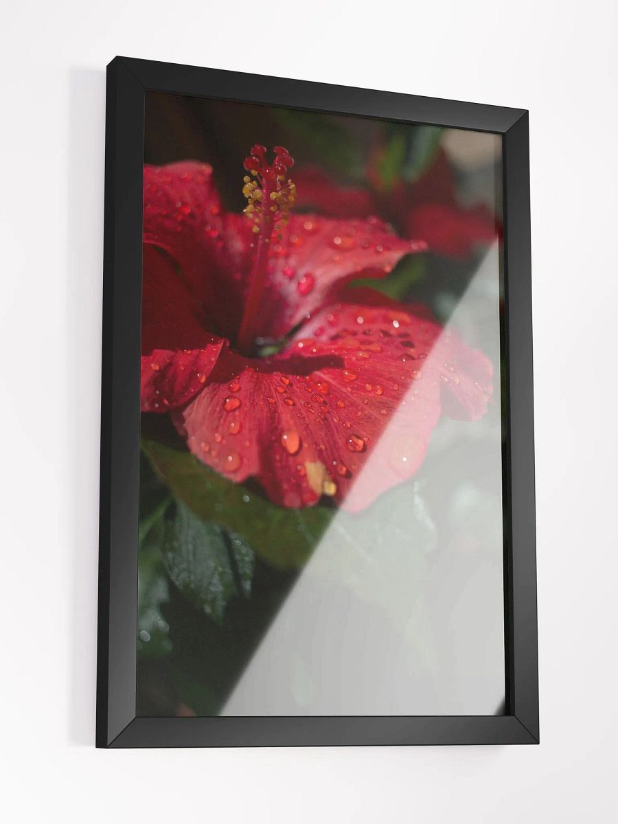 Love Joy Always Loves Bestseller Poster And Frame product image (16)