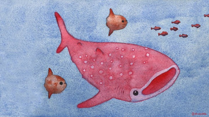 desktop wallpaper : whale shark product image (1)