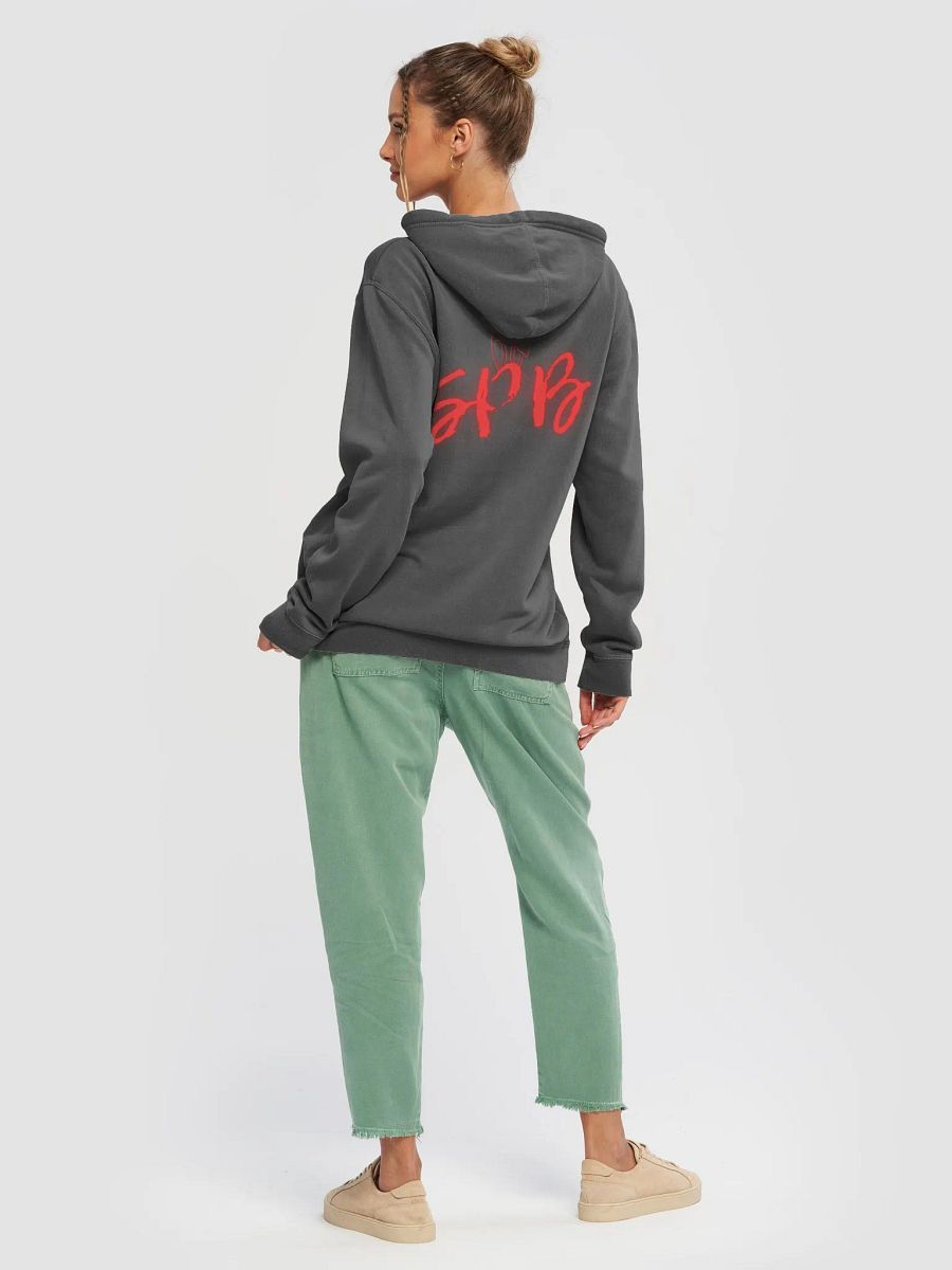 80% Cotton SPB Hoodie product image (3)