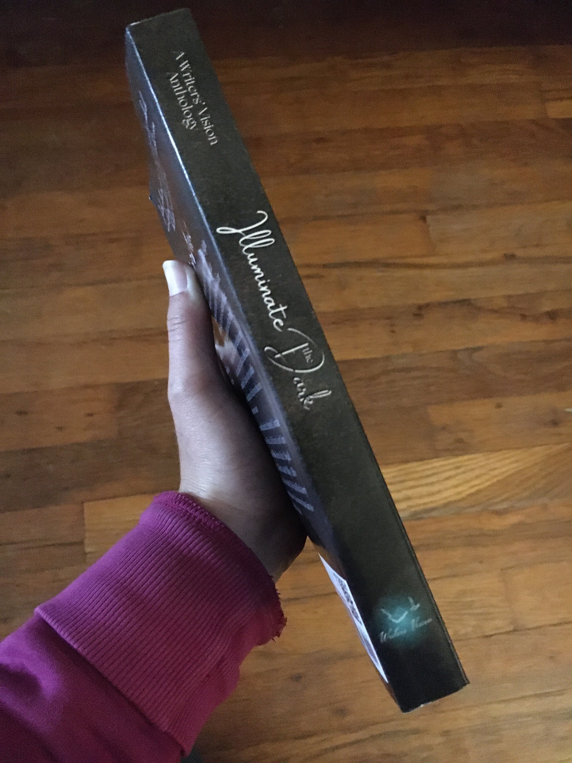 Illuminate the Dark (Signed Paperback) product image (2)