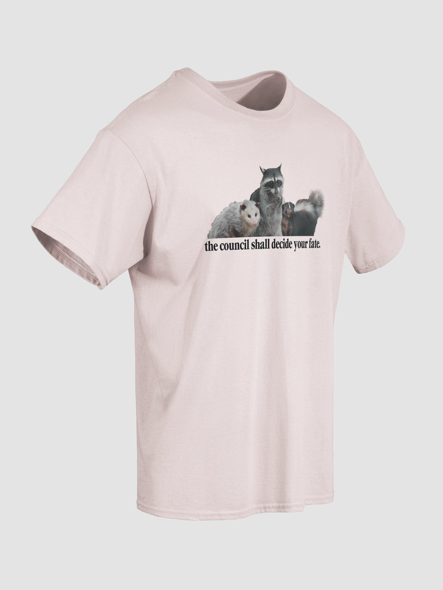 The council shall decide your fate T-shirt product image (41)