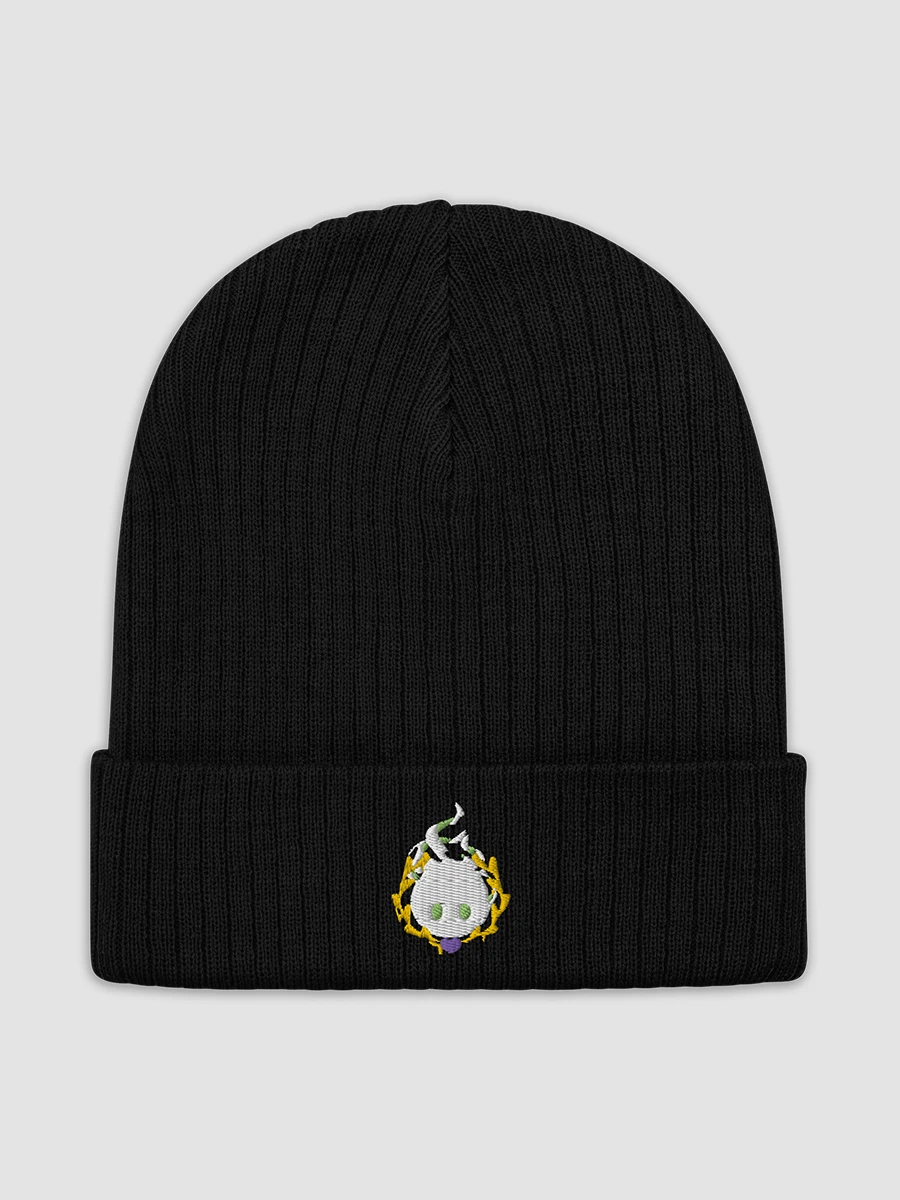 Logo Knitted Beanie! product image (3)