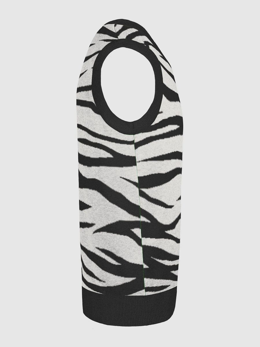 Zebra Chic Knitted V-Neck Vest product image (25)