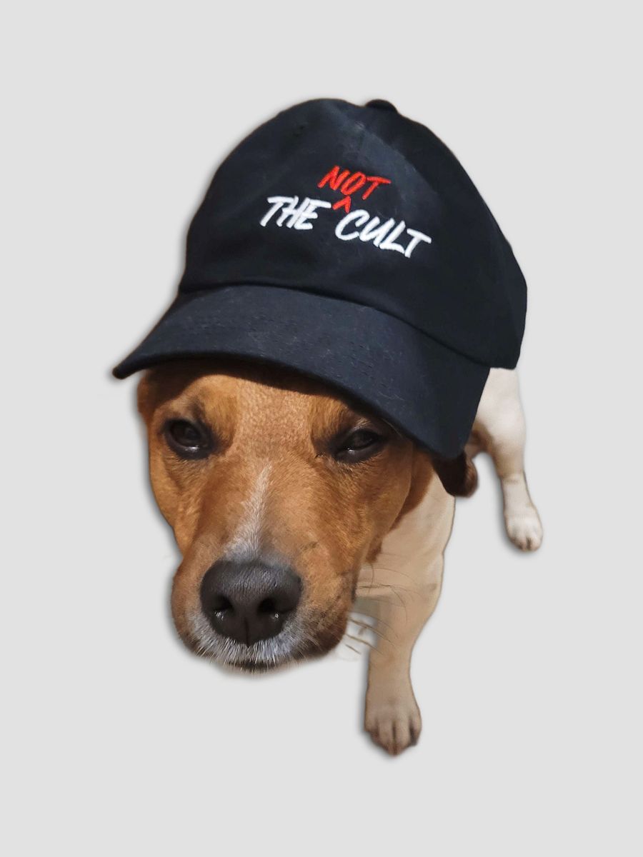 Not-Cult Embroidered Dad Hat product image (9)