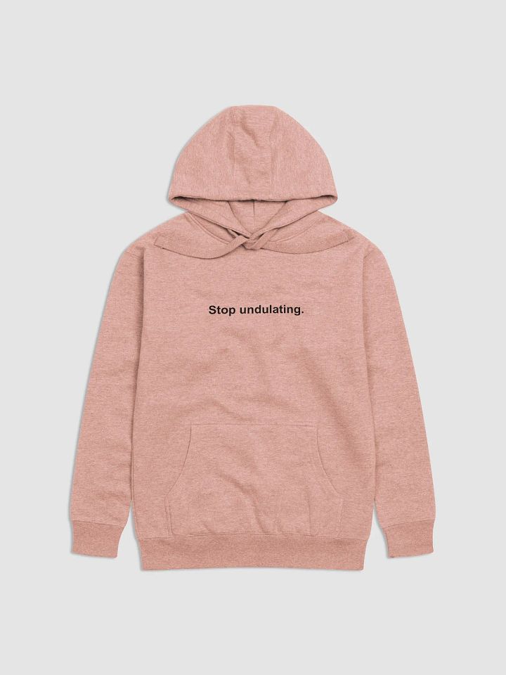 Stop Undulating Hoodie product image (3)