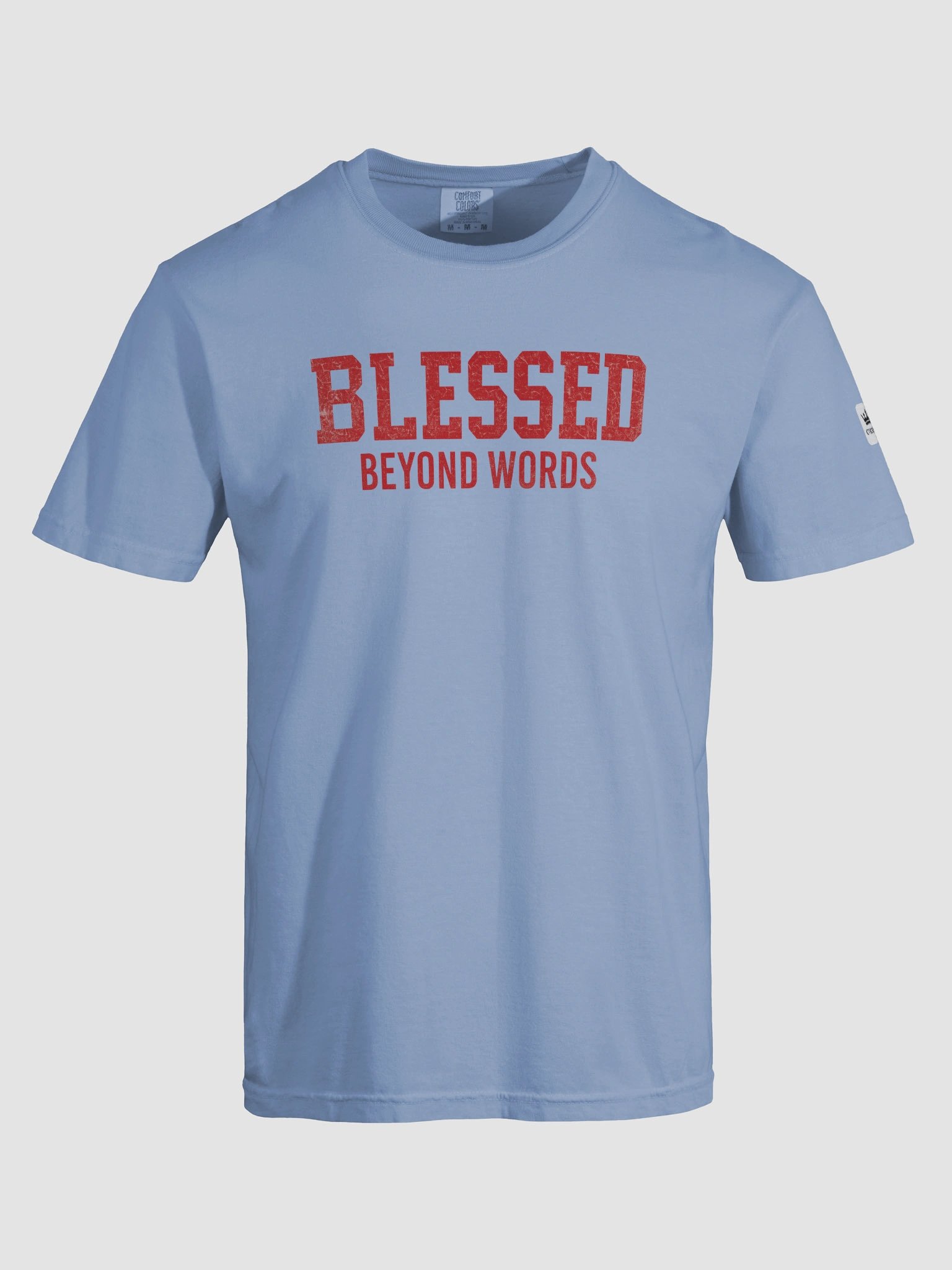 Blessed Beyond Words T-Shirt with Red Graphic product image (7)