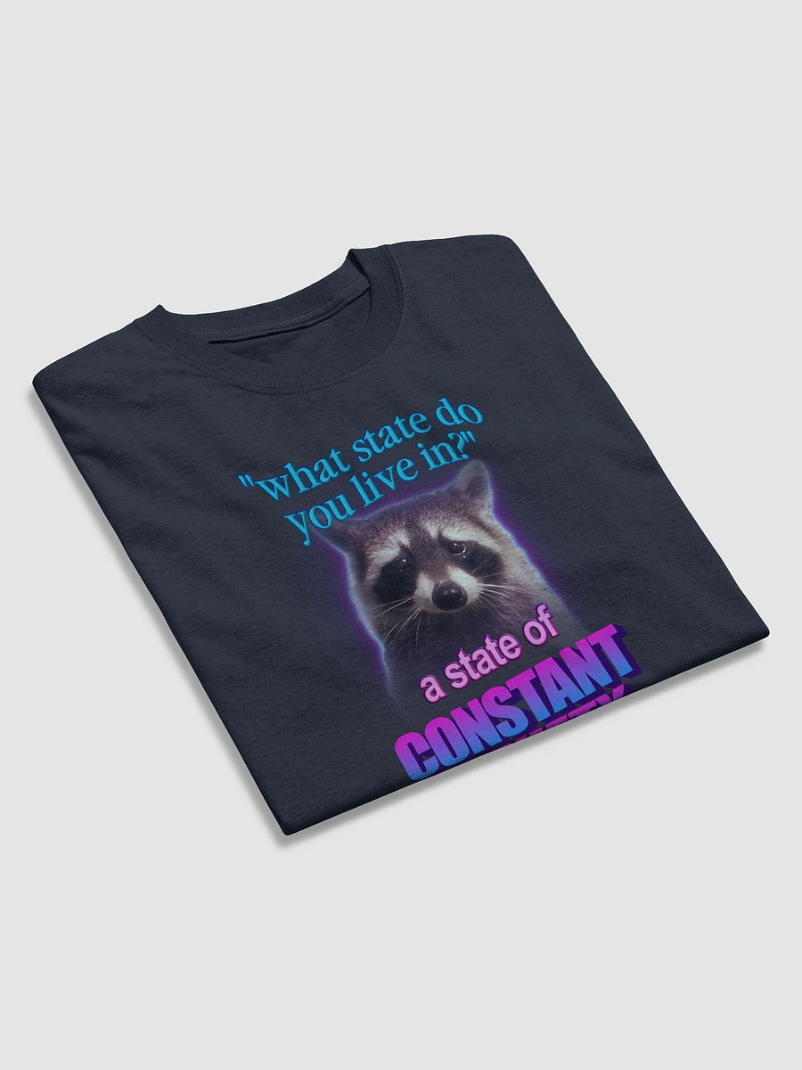 What state do you live in? A state of constant anxiety raccoon T-shirt product image (7)