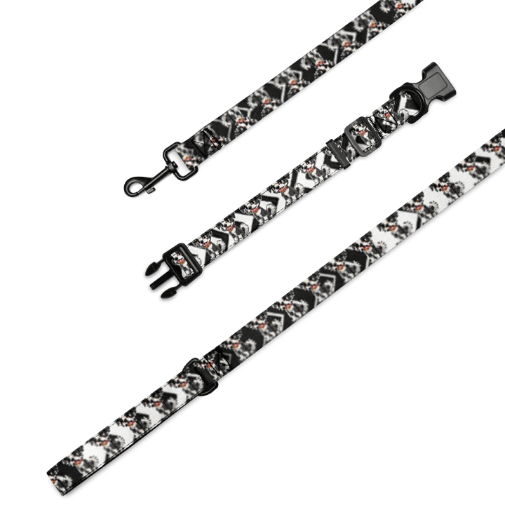 Walle Pet Collar & Leash product image (1)