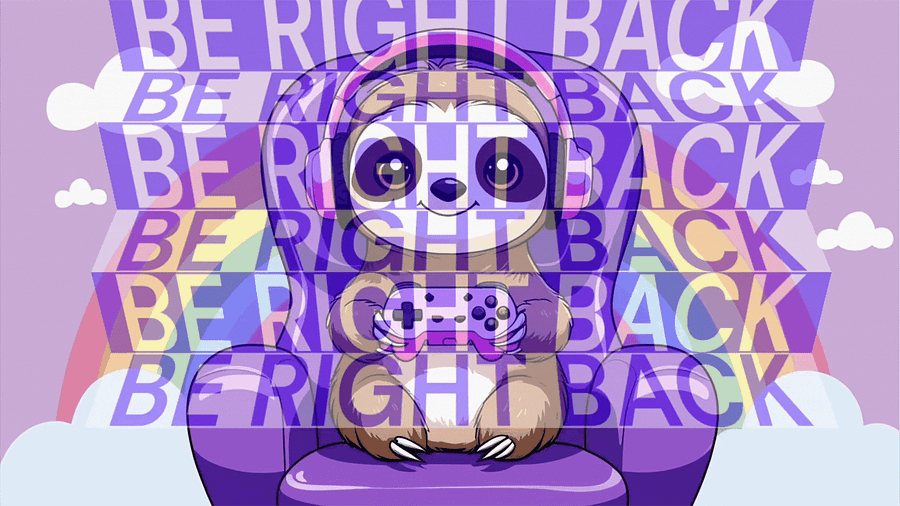 sloth stream starter bundle product image (11)
