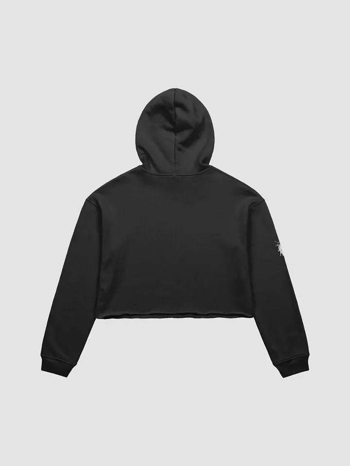 XIII Tarot (Raven) crop hoodie product image (2)