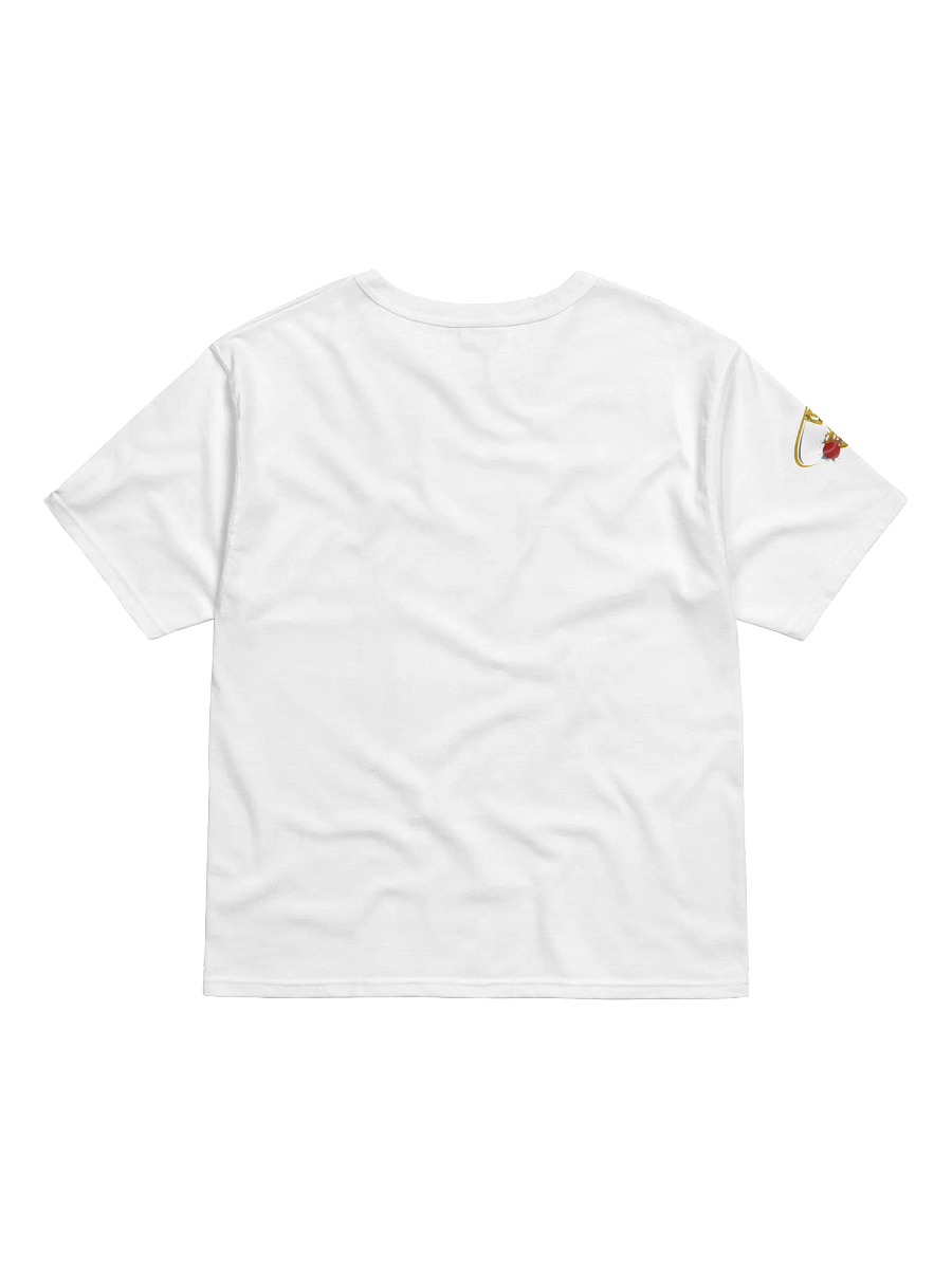 Chhavi Travels branded t-shirt product image (2)