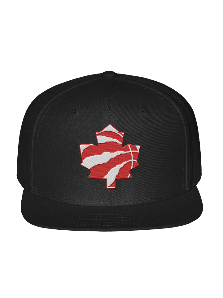 Toronto Dinos Snap product image (1)