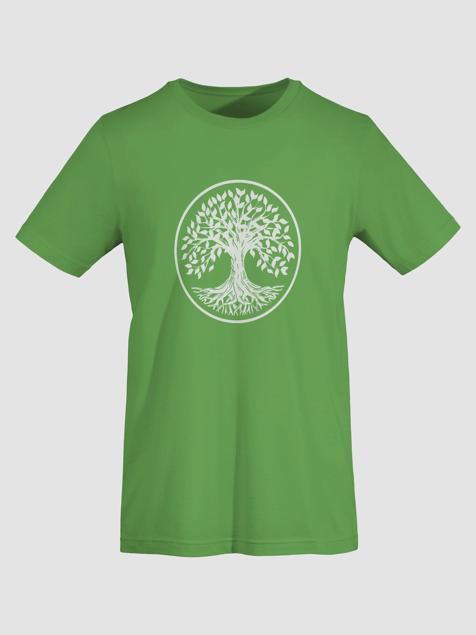 "Rooted In Him" Tshirt (Bright Colors) product image (70)
