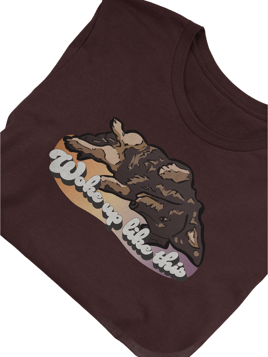 Woke Up Like Longboy - Soft Tee product image (5)