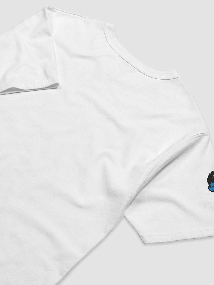 Farweb x Champion: The Dynamic duo product image (15)