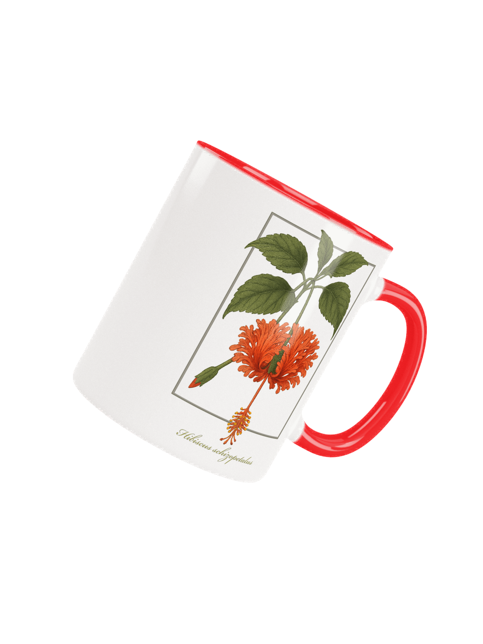 Hibiscus schizopetalus Flower - mug product image (8)