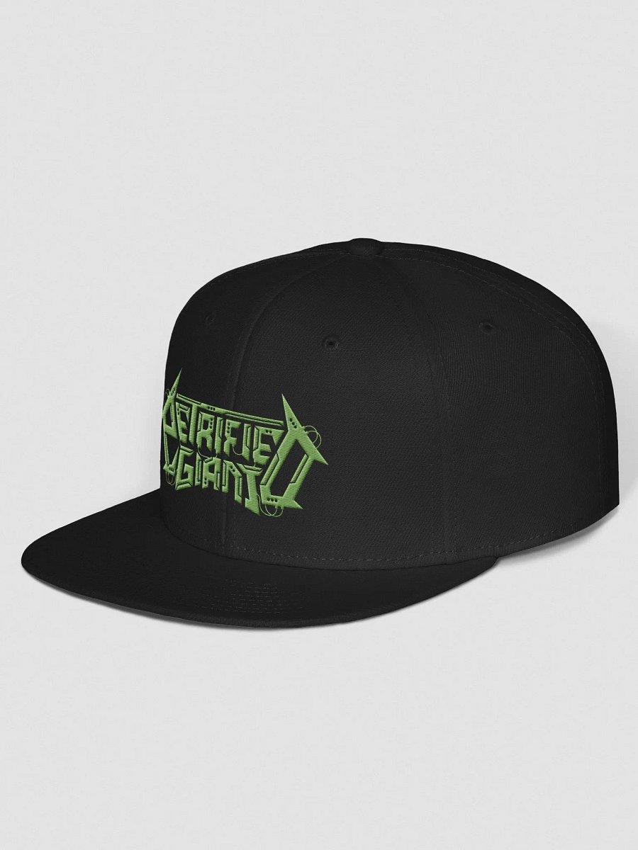 Green logo Snapback Hat product image (2)