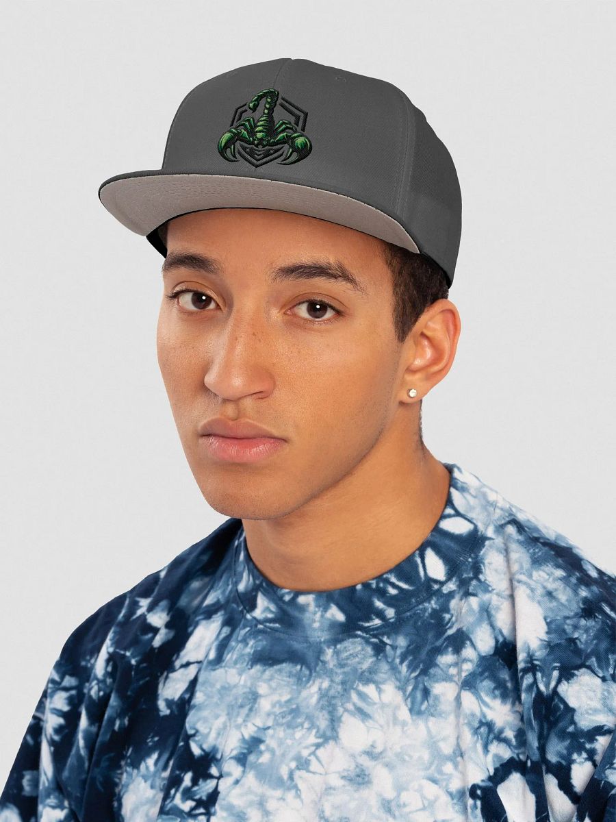 Scorpius eSports Green Snapback Cap product image (25)