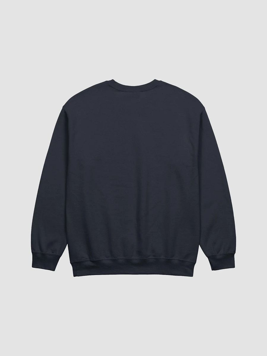 Shared Security Sweatshirt - Navy No Hood product image (2)