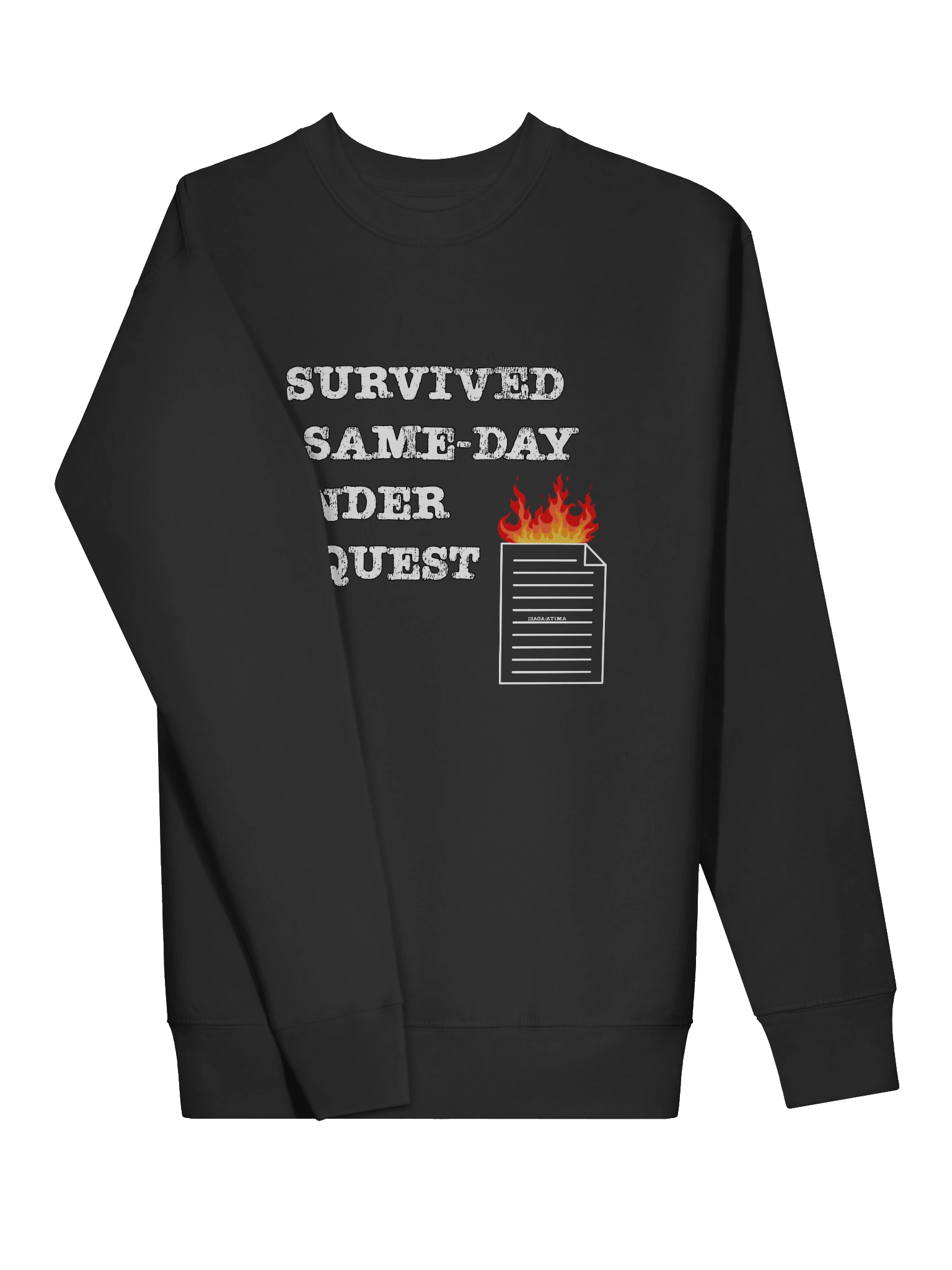 Survived Same-Day Binder Sweatshirt product image (20)