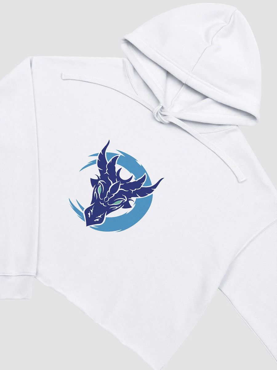 Crop Hoodie - Aerinda Buhrik product image (15)