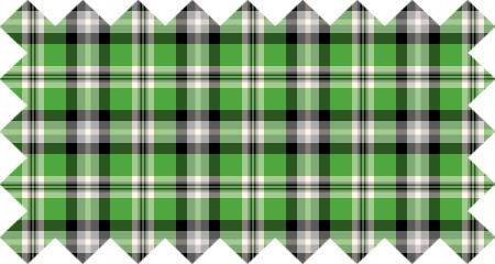 Bright Green Plaid (CO03)