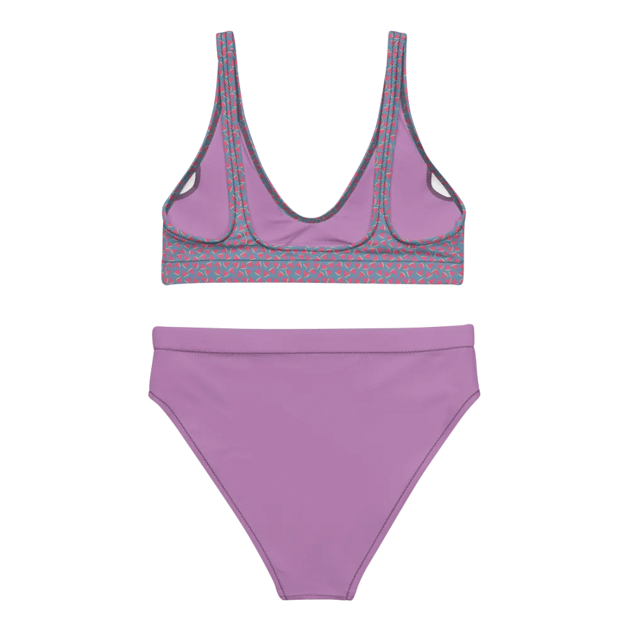 Small Watermelon Patterns Bikini product image (4)