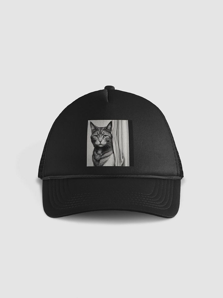 Cat product image (2)