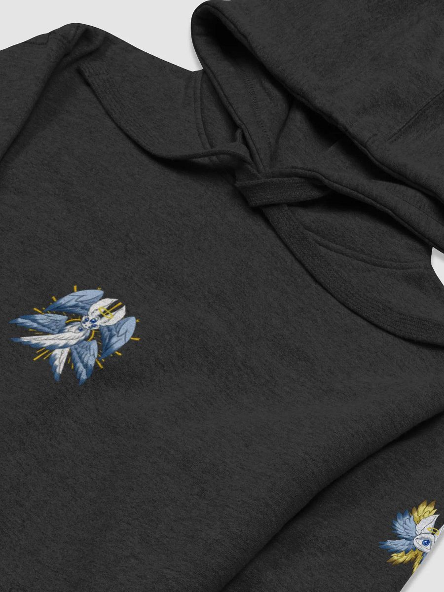 Biblically accurate Hoodie product image (3)