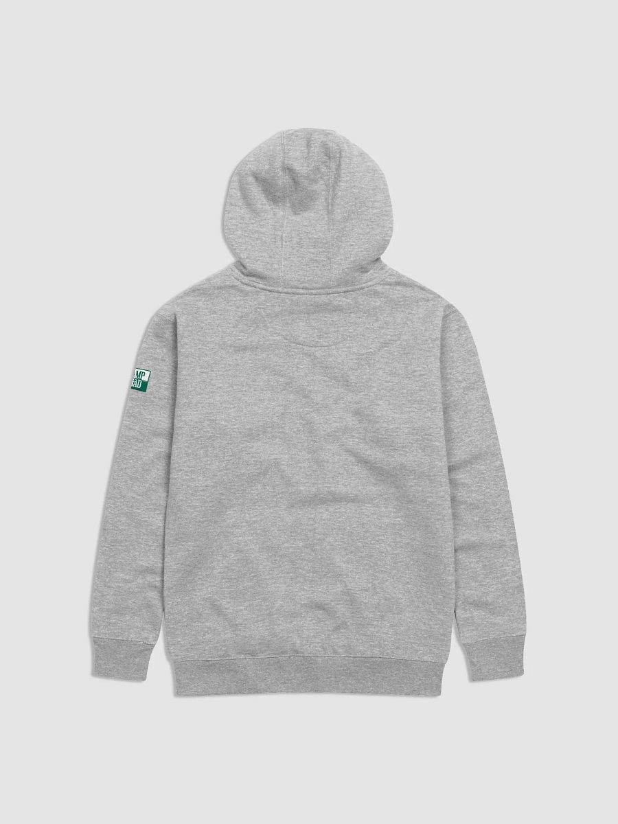 Celebrate Black History Men's Premium Hoodie product image (9)