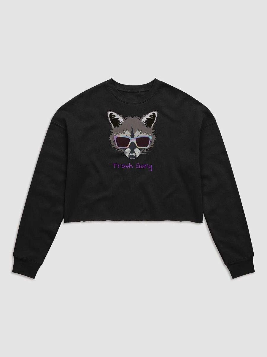 TG Crop Sweater product image (1)