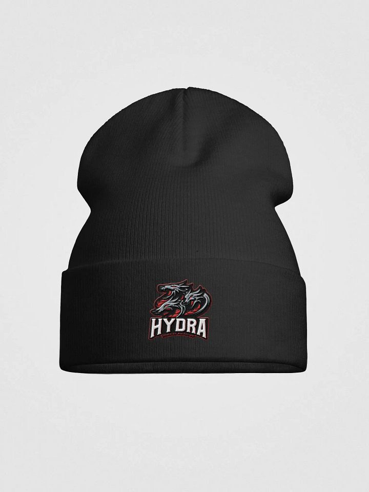 FHB Otto Knit Beanie product image (1)