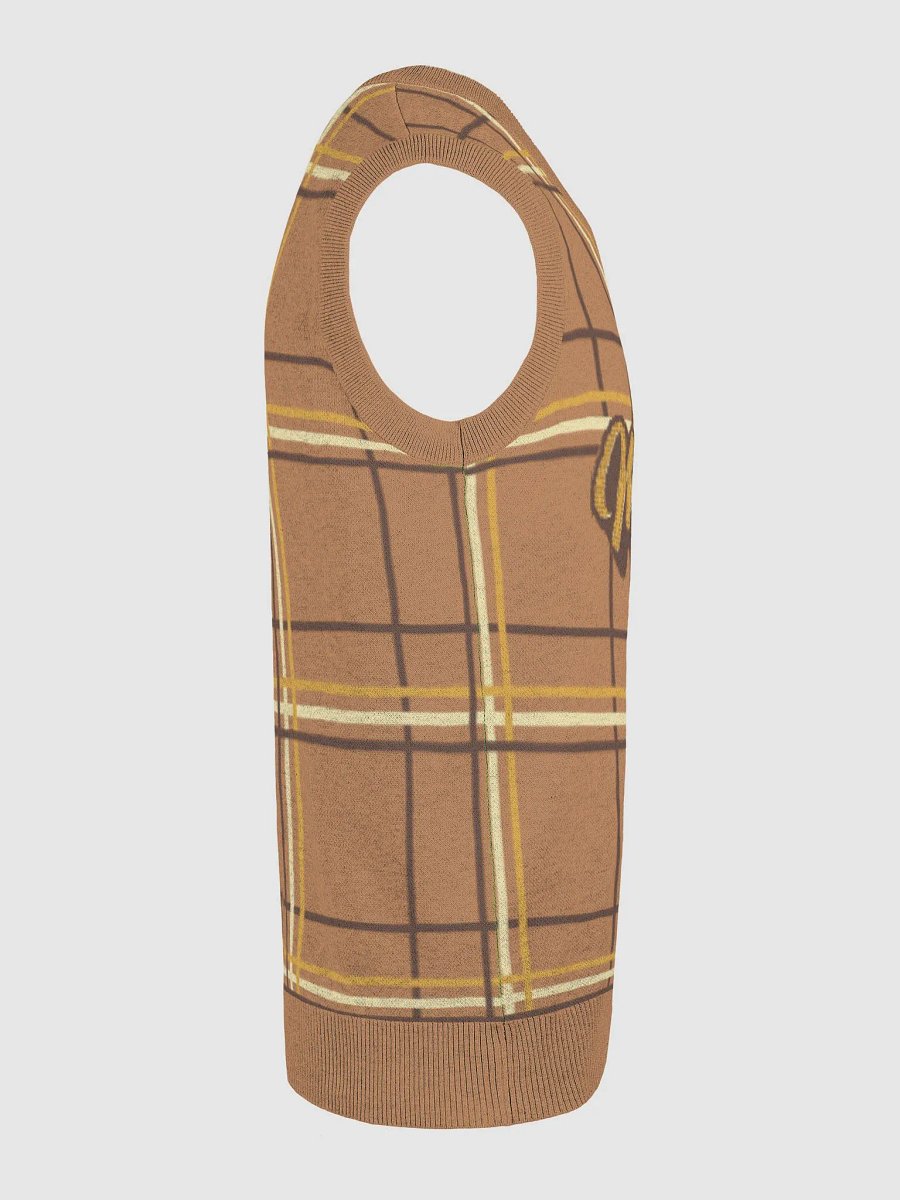 Motivation Plaid V-Neck Vest product image (24)