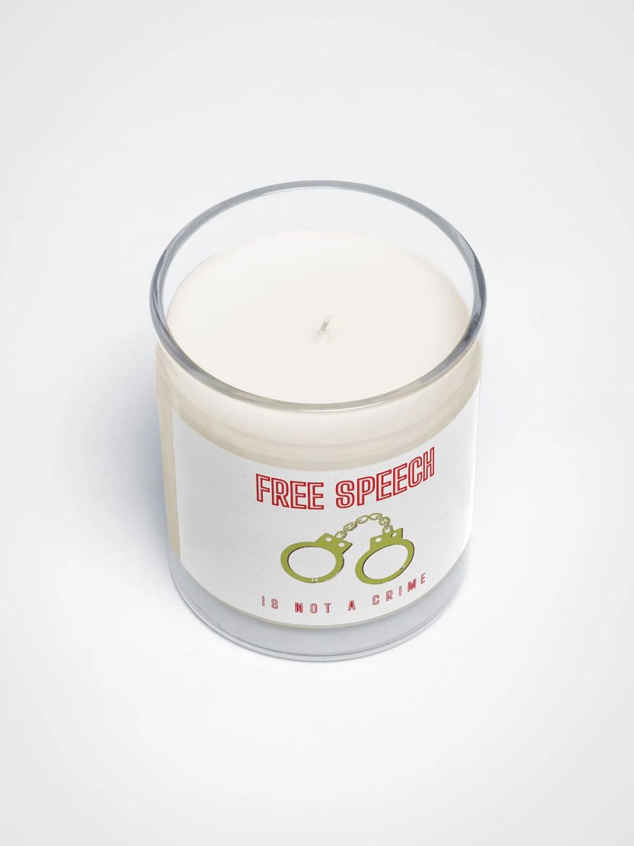 FREE SPEECH IS NOT A CRIME product image (3)