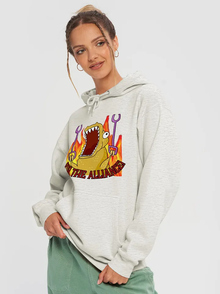 Alliance Premium Pullover Hoodie product image (1)