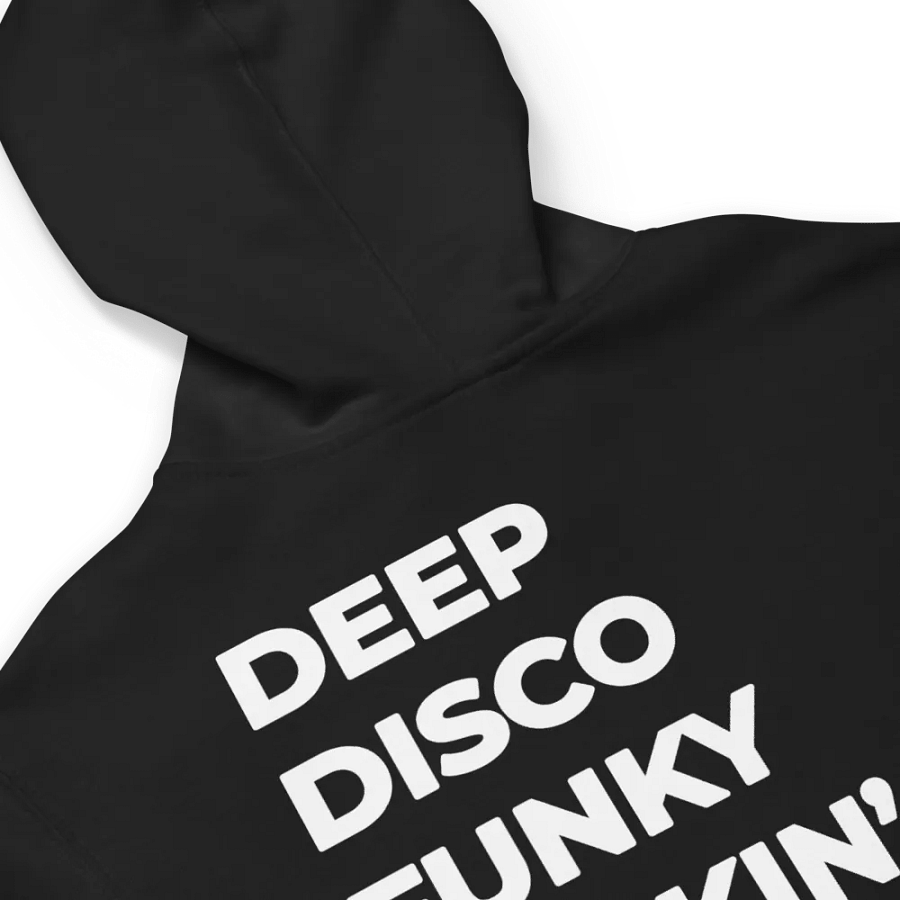 Flipside's Chicago House Fleece Zip-Up Hoodie product image (32)