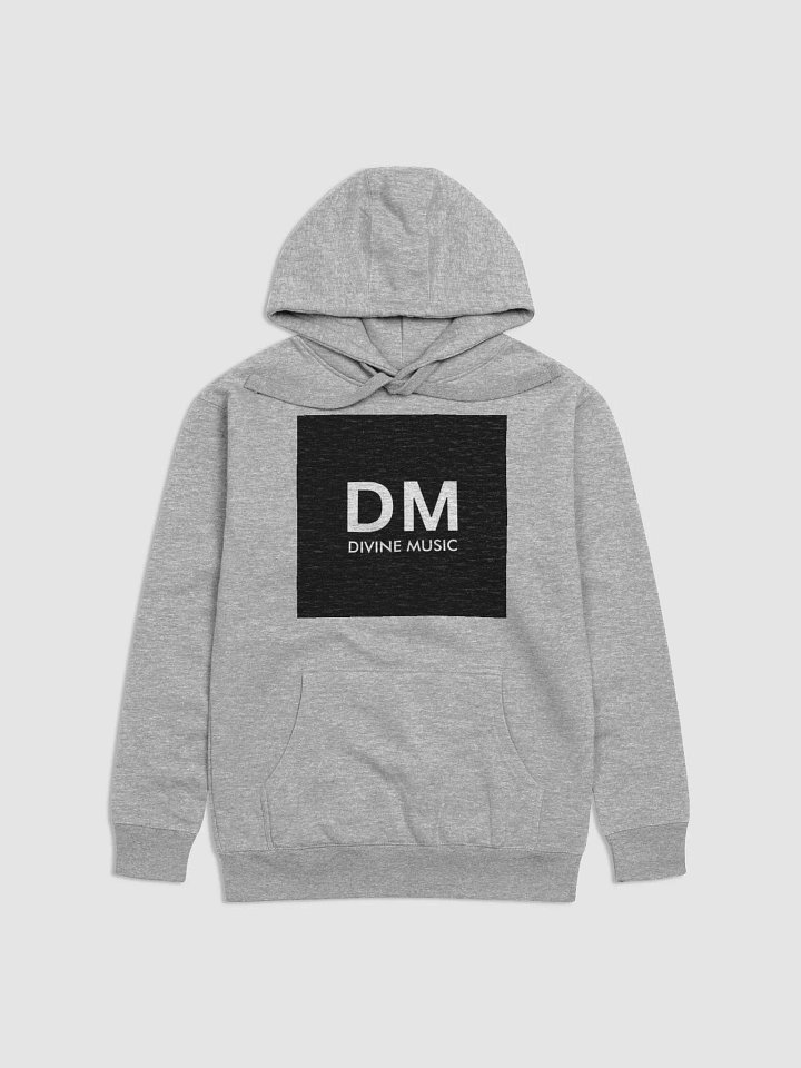 DIVINE HOODIE GRAY product image (1)