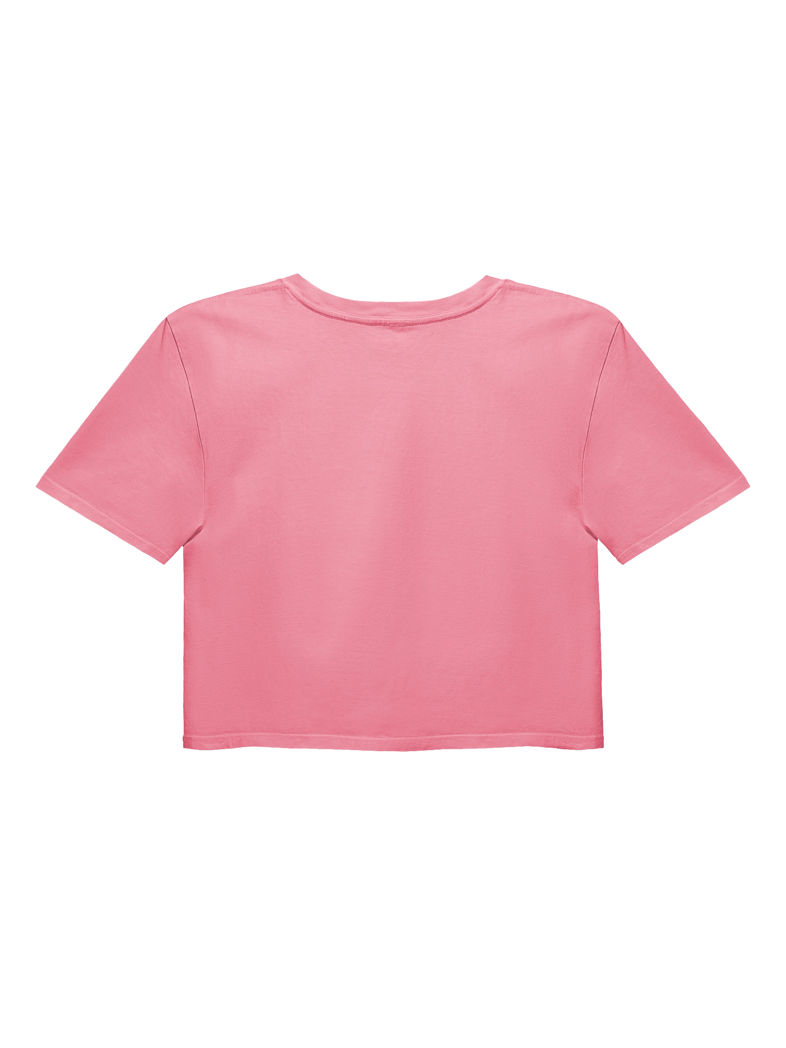 Cat Sandwich Crop Top :3 product image (2)