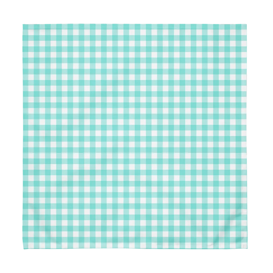 Matching Set of Teal Gingham Cloth Napkins product image (6)