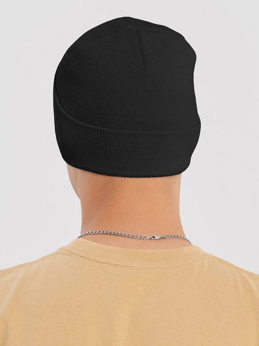WS Knit Beanie product image (16)