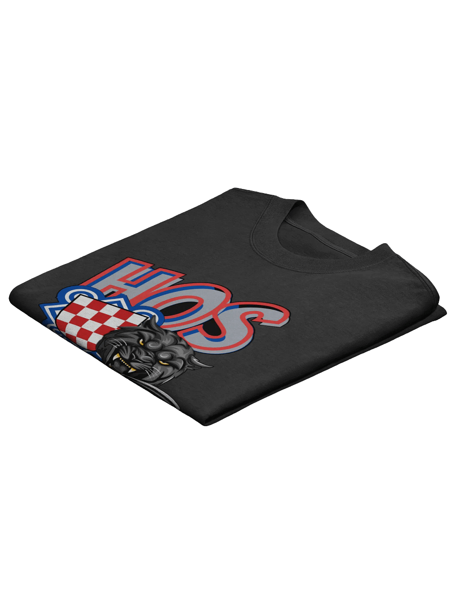 HOS DOMOVINI VJERNA Emblem Oversized Faded T-Shirt product image (4)