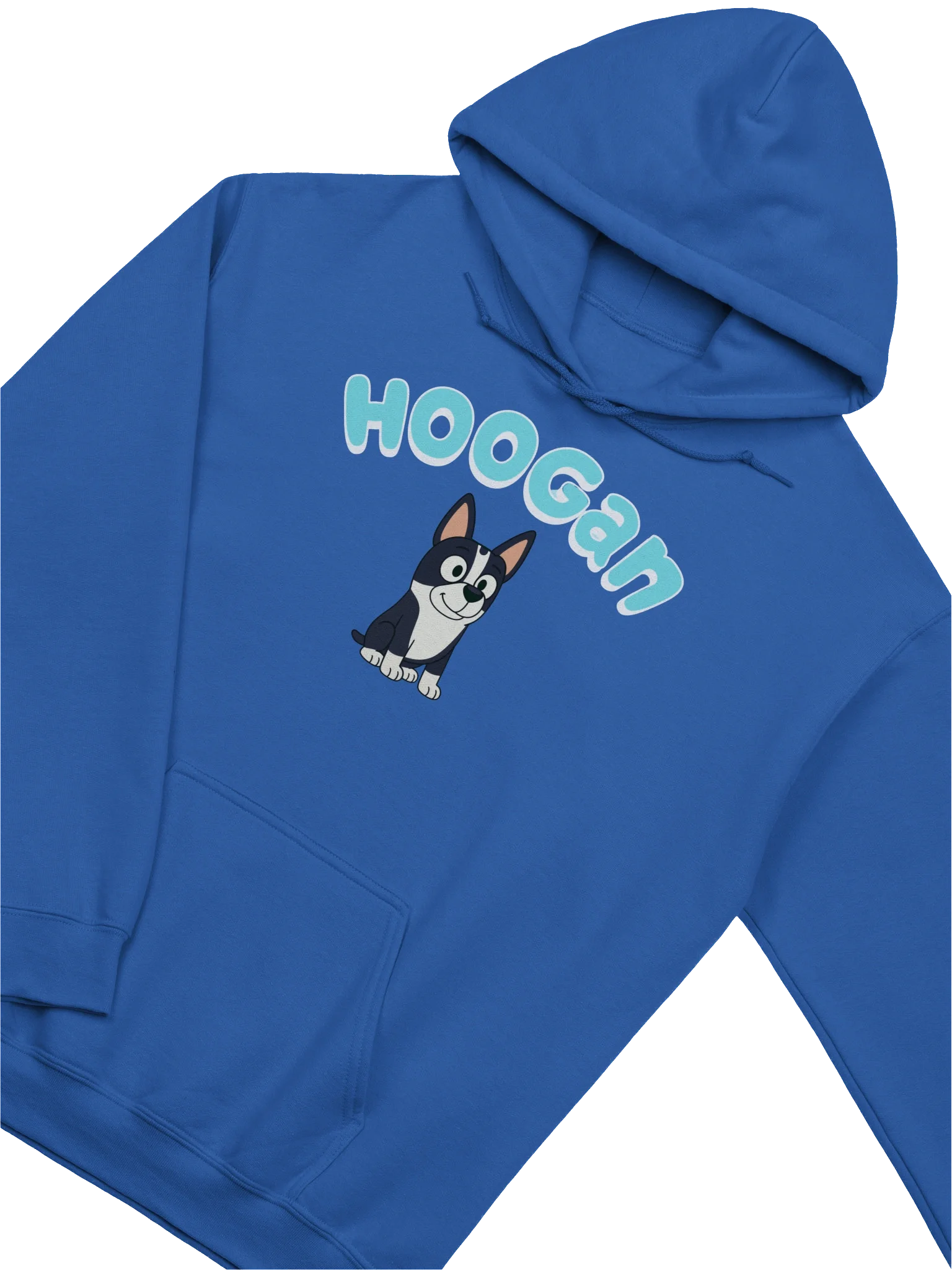 HOOGAN BLUES HOODIE COLLECTION product image (3)