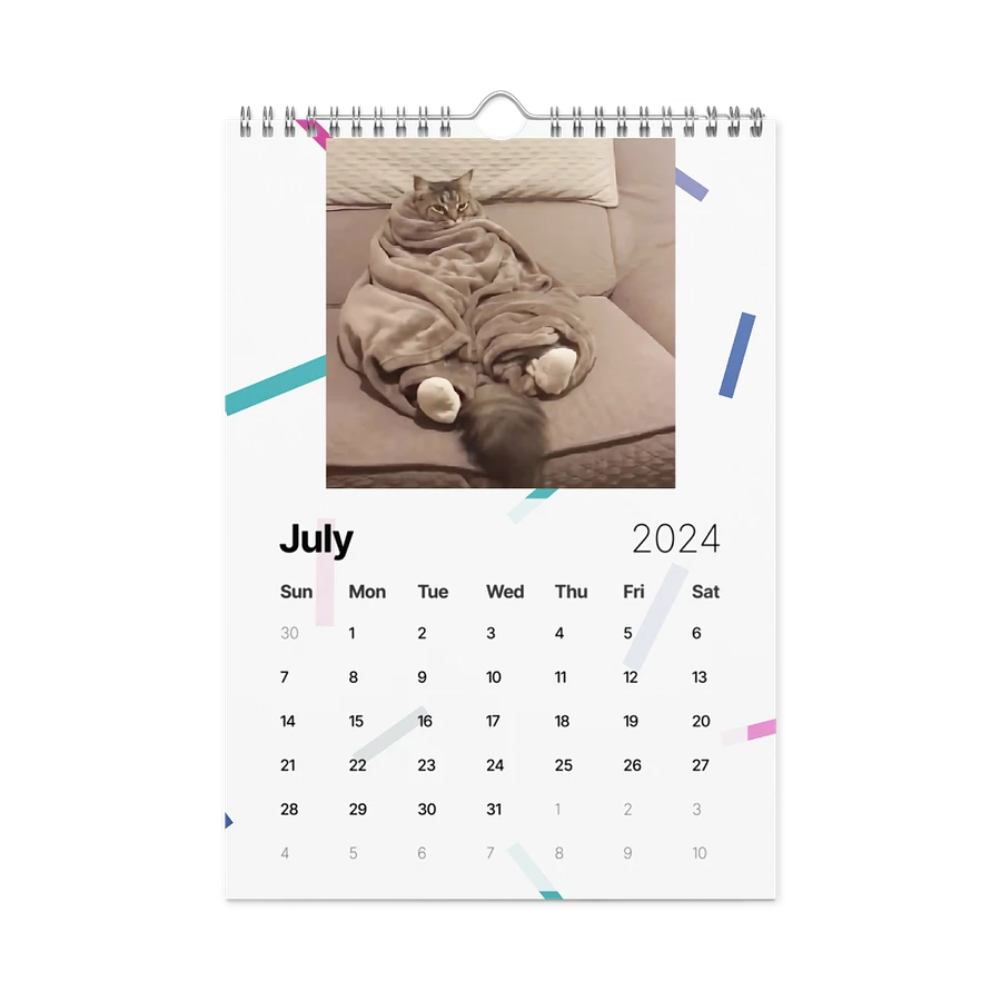 Wall Calendar (2024): Meme Cats product image (10)