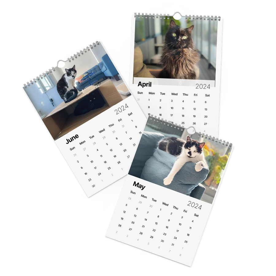 The 2024 ShoKo Cat Calendar product image (2)