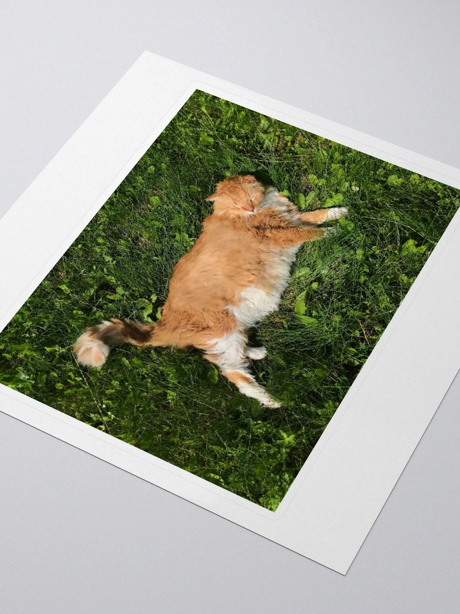 Sun Bathing Boy Sticker product image (3)