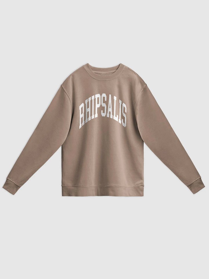 RHIPSALIS VARSITY - Midweight Pigment Dyed Sweatshirt product image (5)