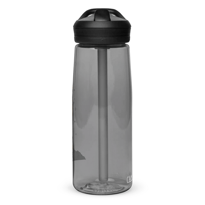 Sword in the Skull - Argent Variation - CamelBak product image (2)