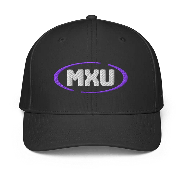 Performance Hat product image (1)