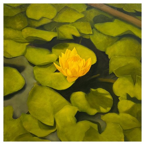 Pond Water 
24” x 24”
Oil on Canvas 
Available 

Another oil painting from my flower series last year. Posting the rest from ...