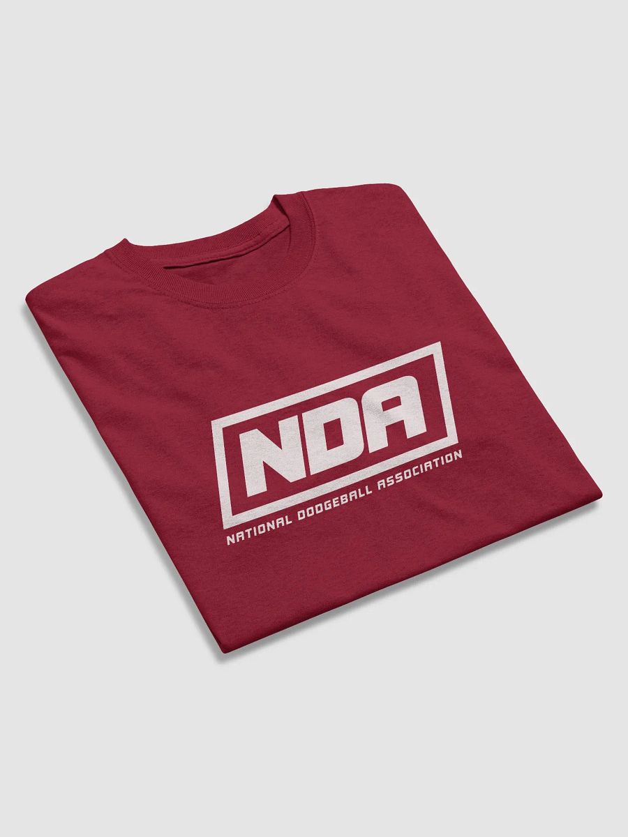 National Dodgeball Association T-Shirt (Light) product image (21)